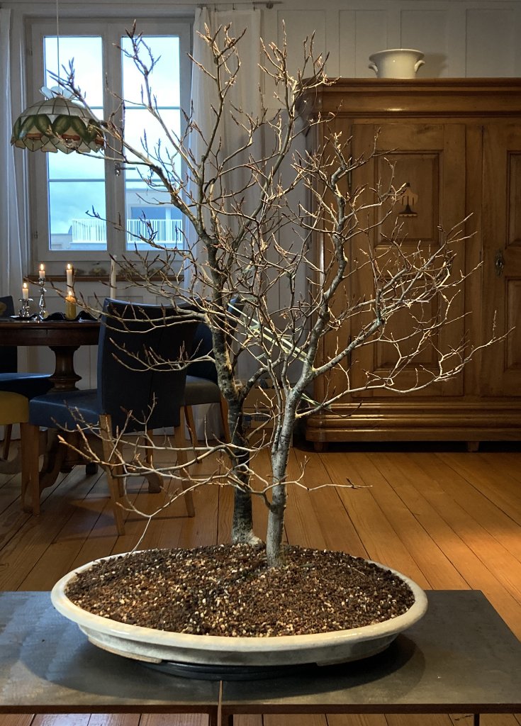 P1020563 3.jpg