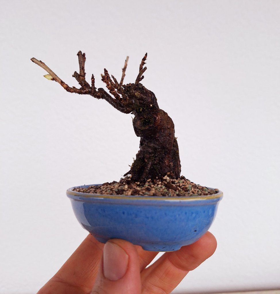 20240227_112138.jpg