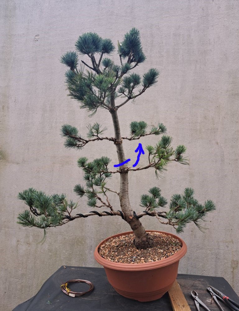 20240322_112700.jpg