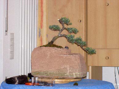 pict0278_01.jpg