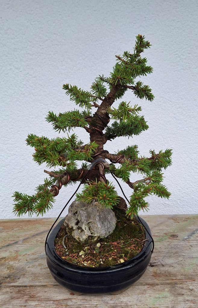 Von der Seite