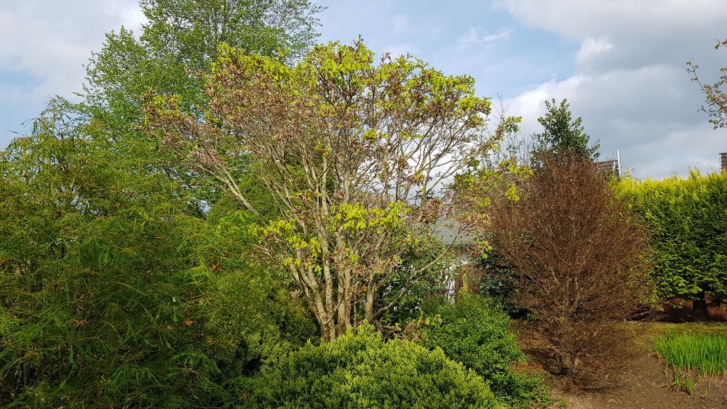 20240412_160922.jpg