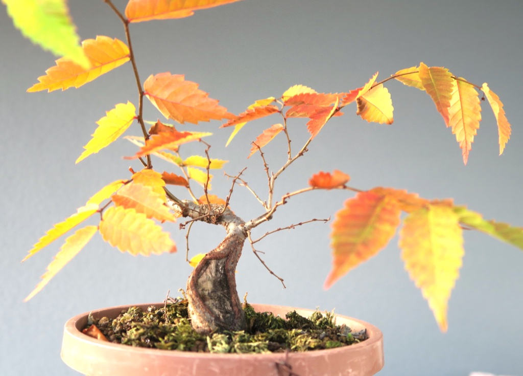 Okt 2017: erster Herbsteindruck
