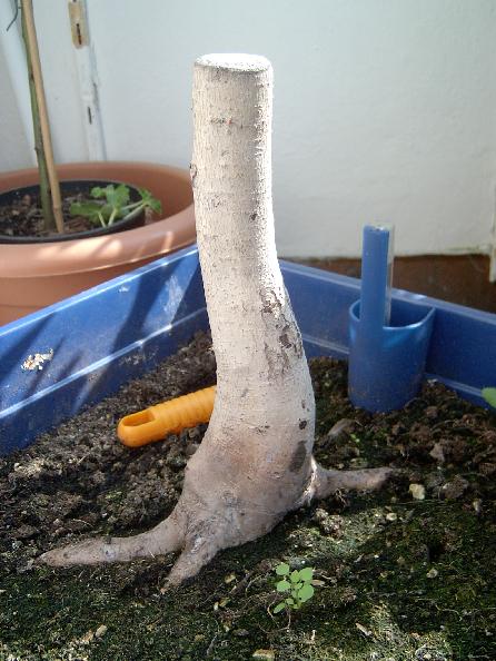 2.