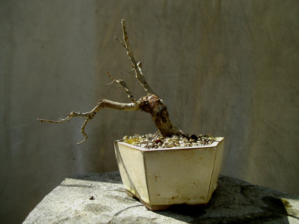 3 Jahre später.....<br />April 2019