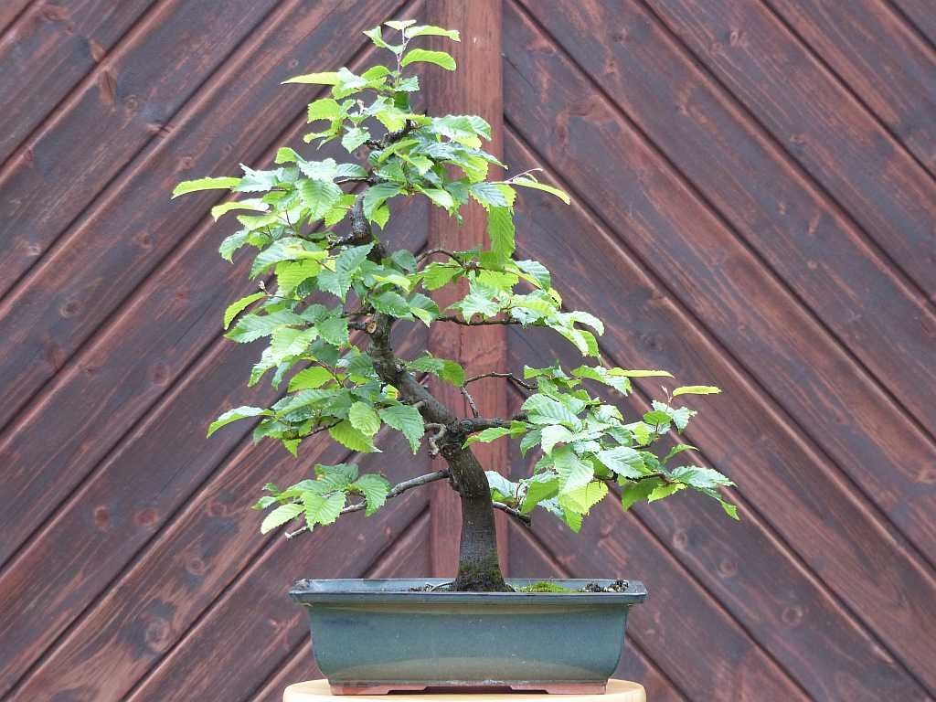 P1110223_k_heute.jpg