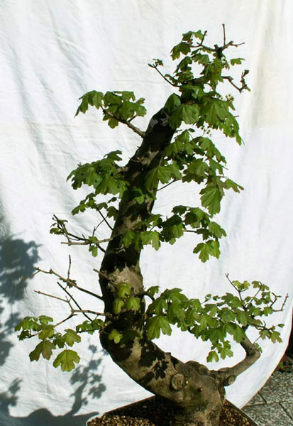e01.jpg