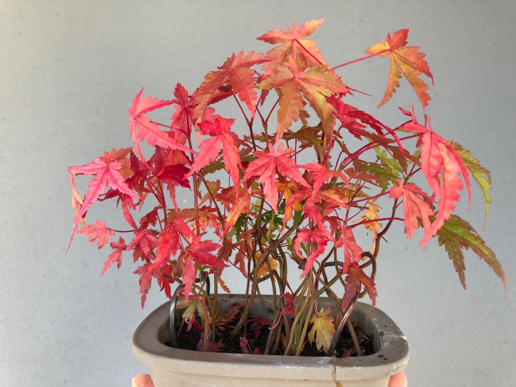 Oktober 2020: schöner Herbst