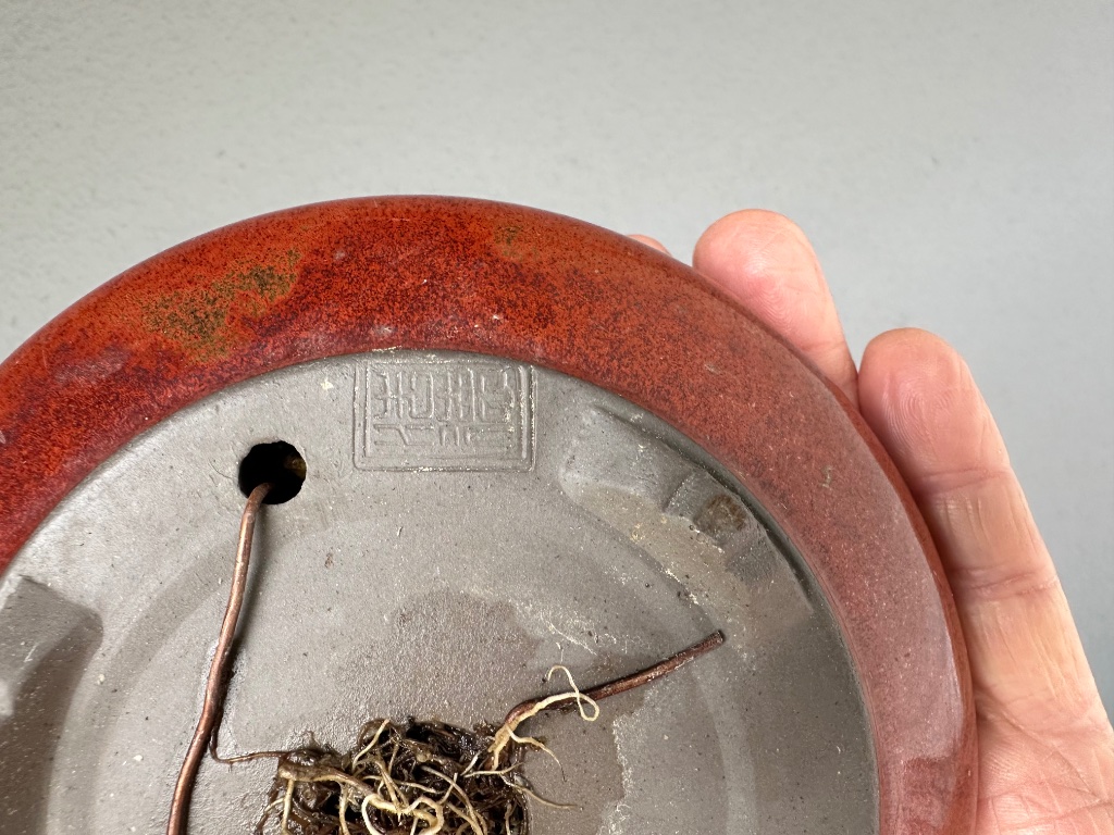 Schale: Houtoku (Tokoname)
