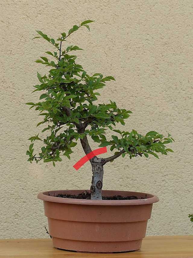 P1090787_f.jpg