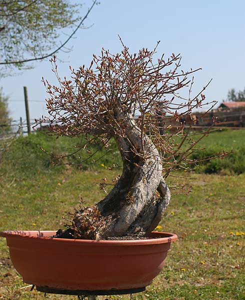 Dsc_1521v.jpg