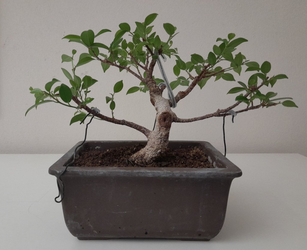 20240723_182733.jpg