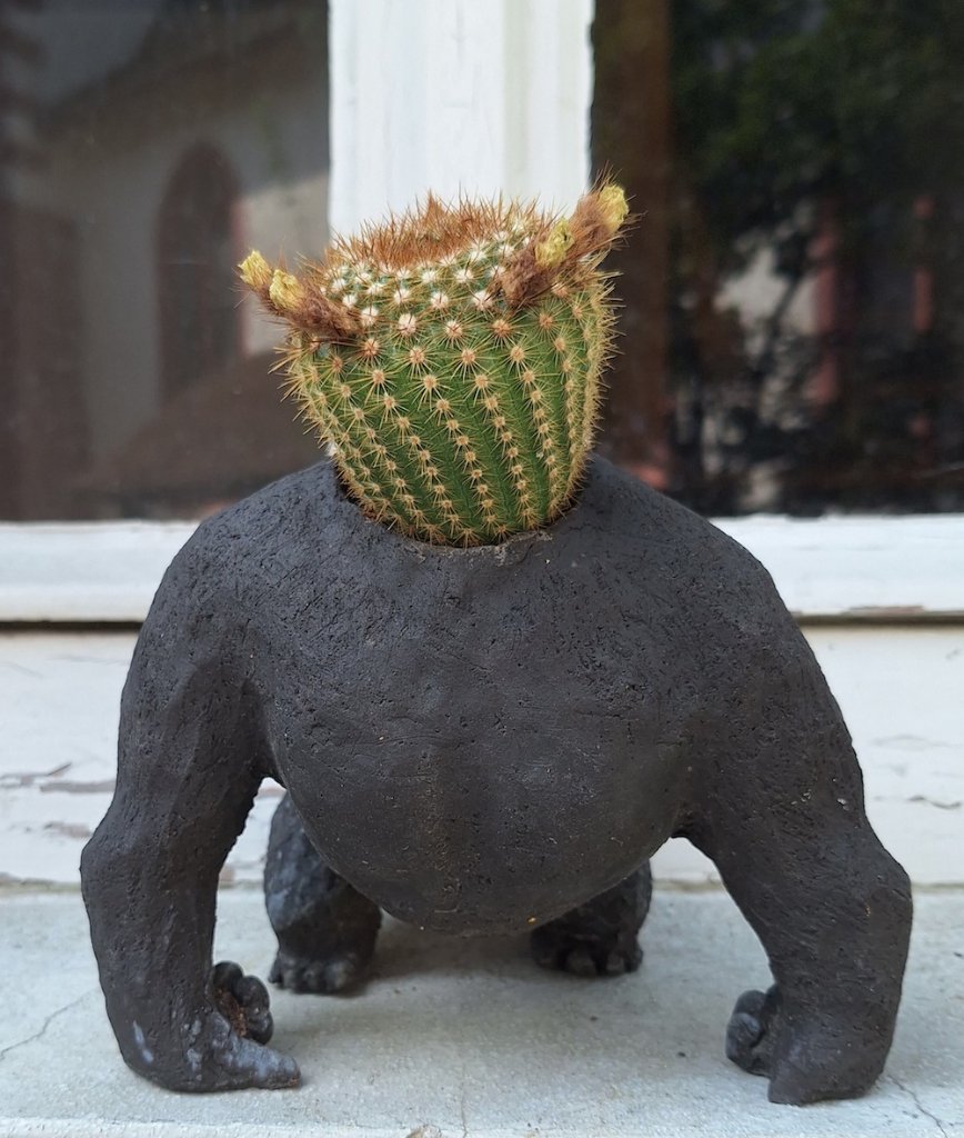 donkey2.jpg