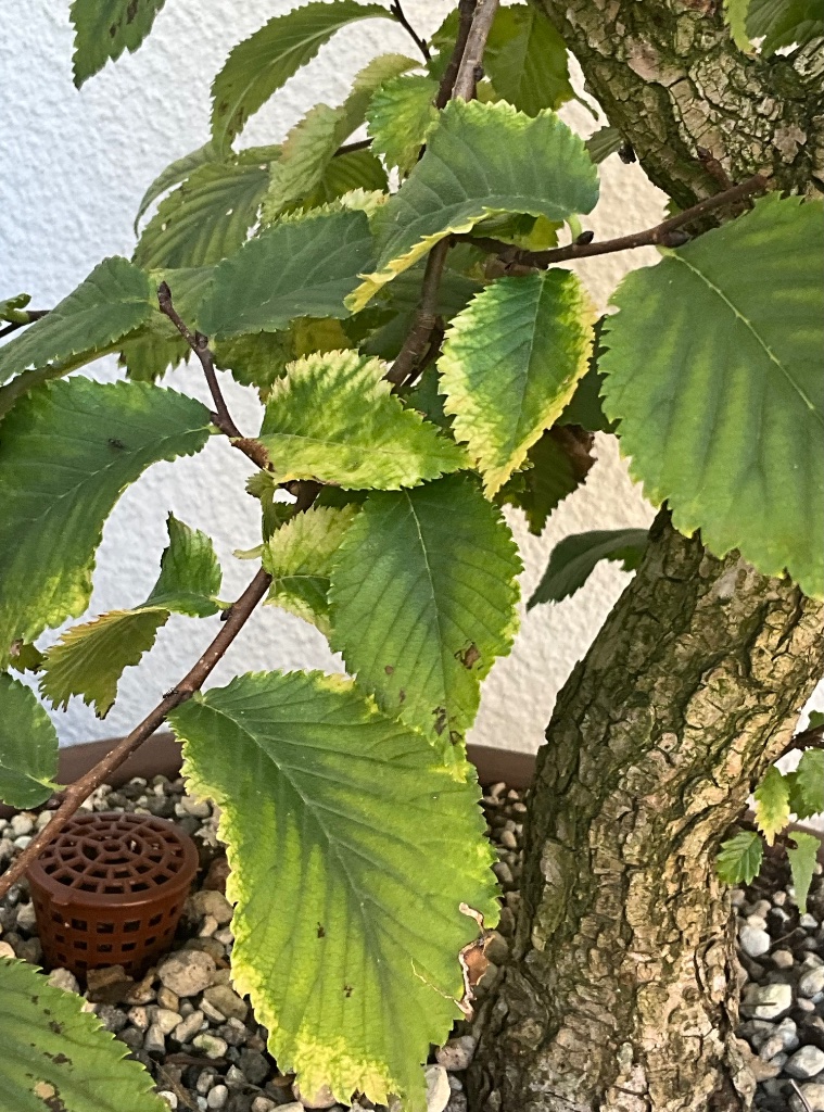 IMG_0114.jpeg