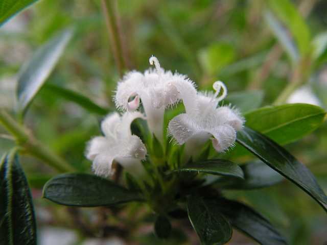PICT0424_k.jpg