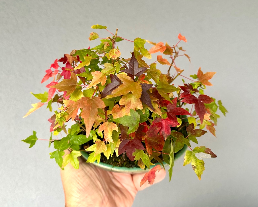 Farben-Potpourri