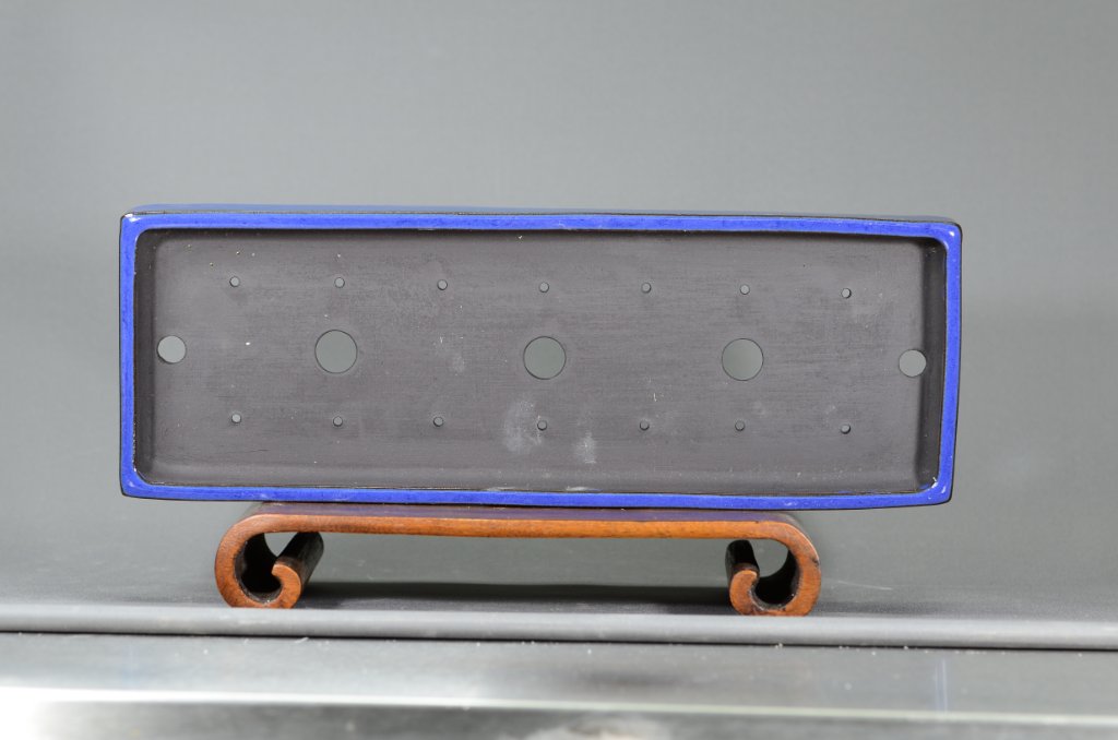 DSC_3868.JPG
