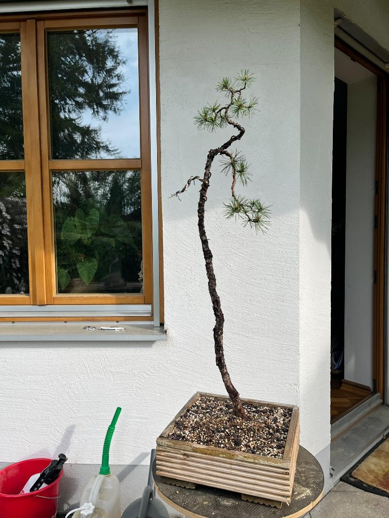 2022_Erste Gehversuche