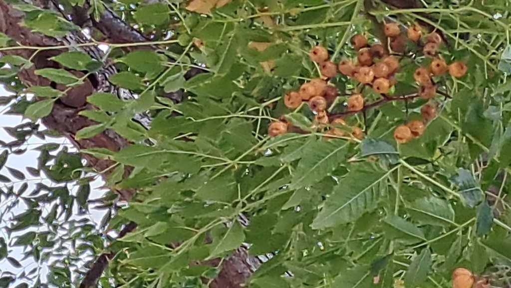 20230706_080525.jpg