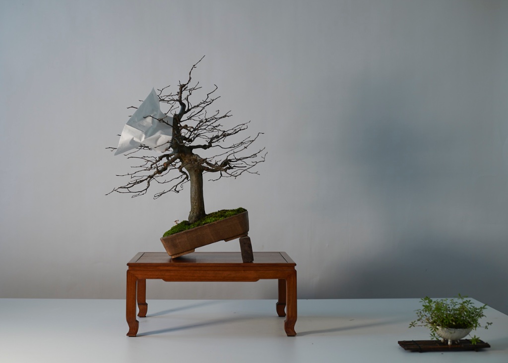 Der Baum von Lili wurde dann doch eher zu einer Workshop-Session.