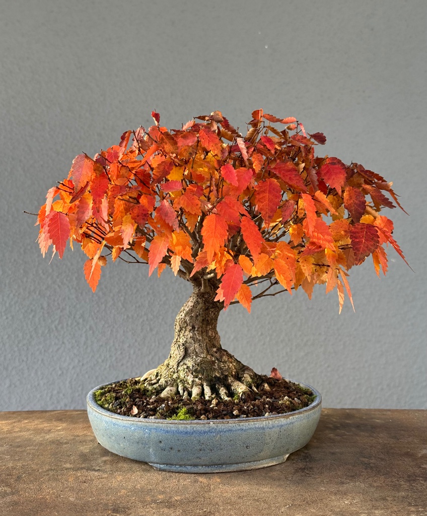 21. Oktober