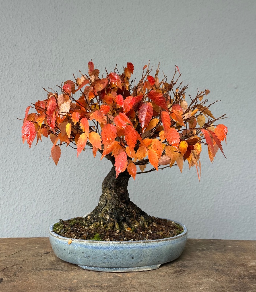 23. Oktober