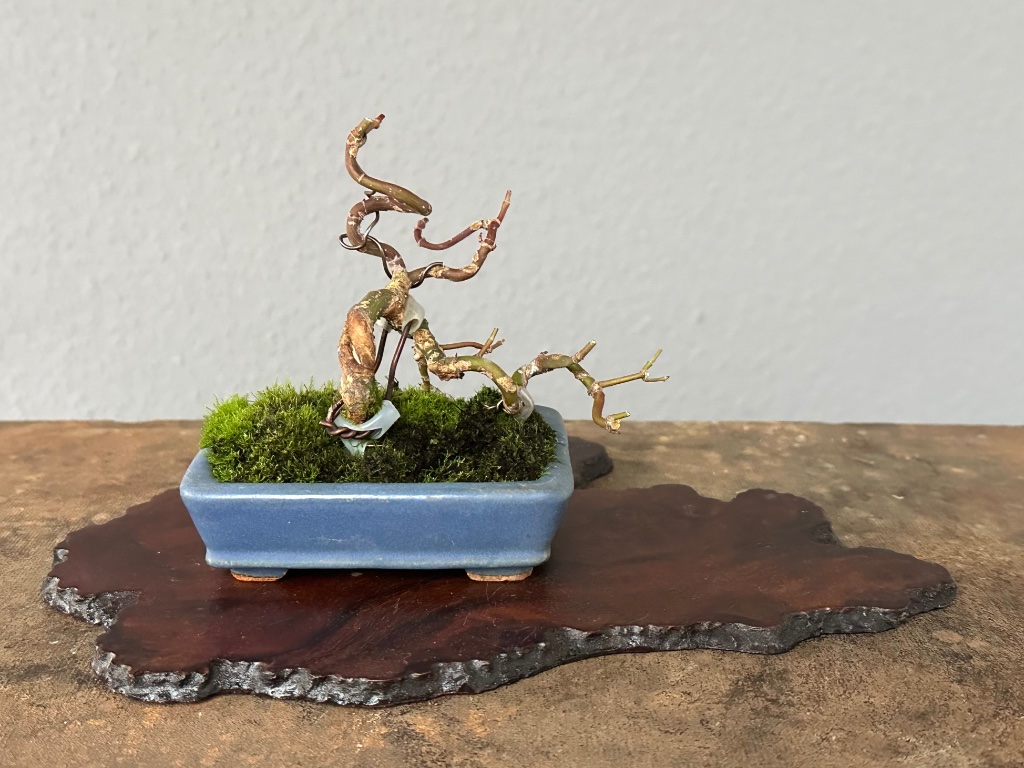mein Beitrag zum Cosmic Bonsai Style