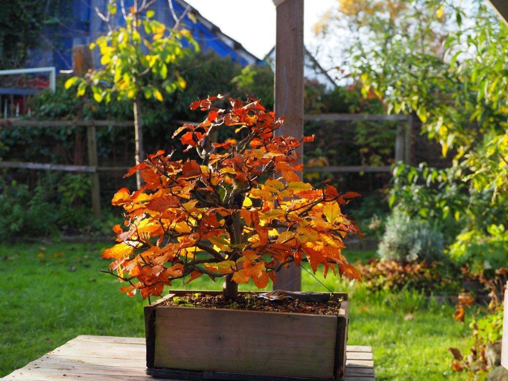 P1010005.JPG