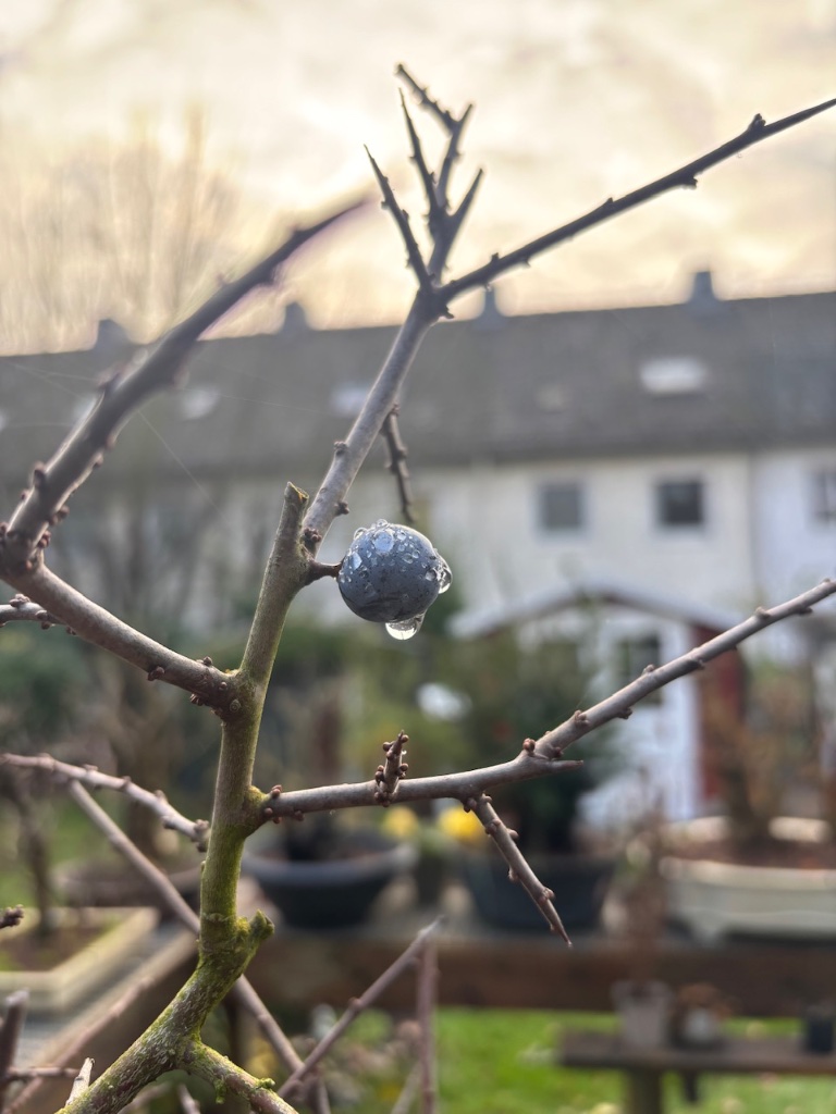 IMG_8163.jpeg