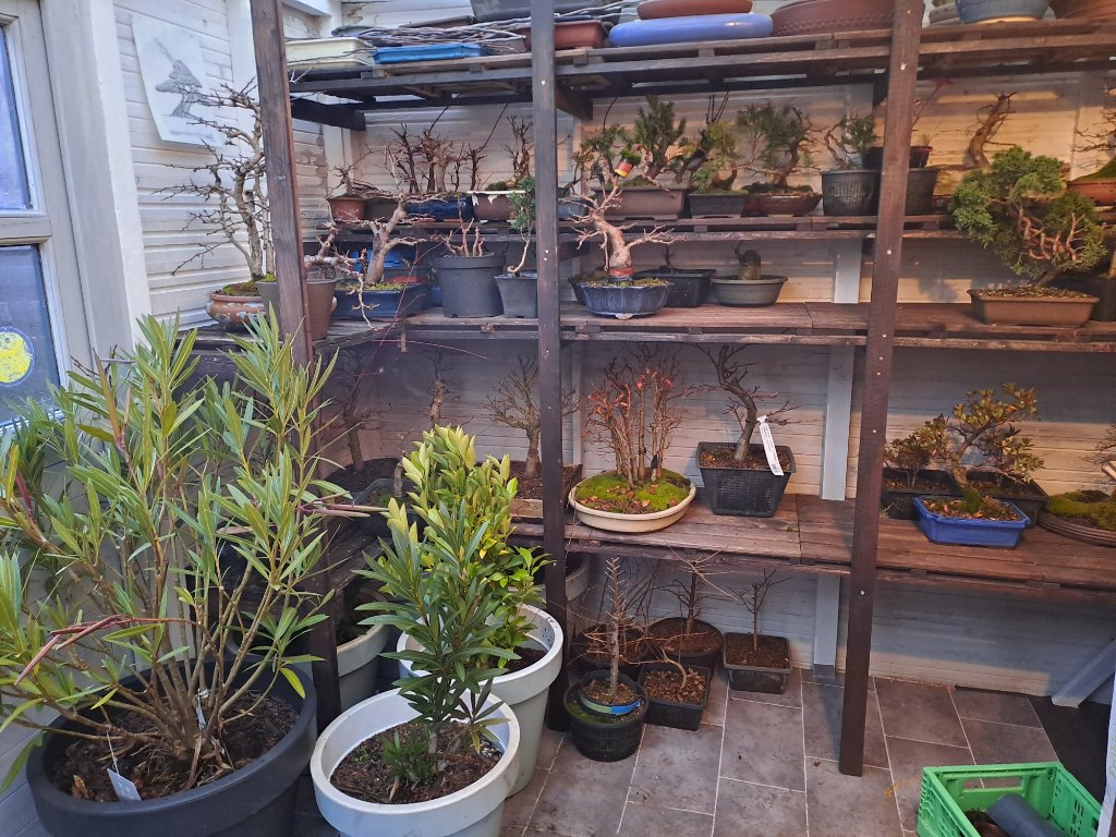 20241118_163053.jpg