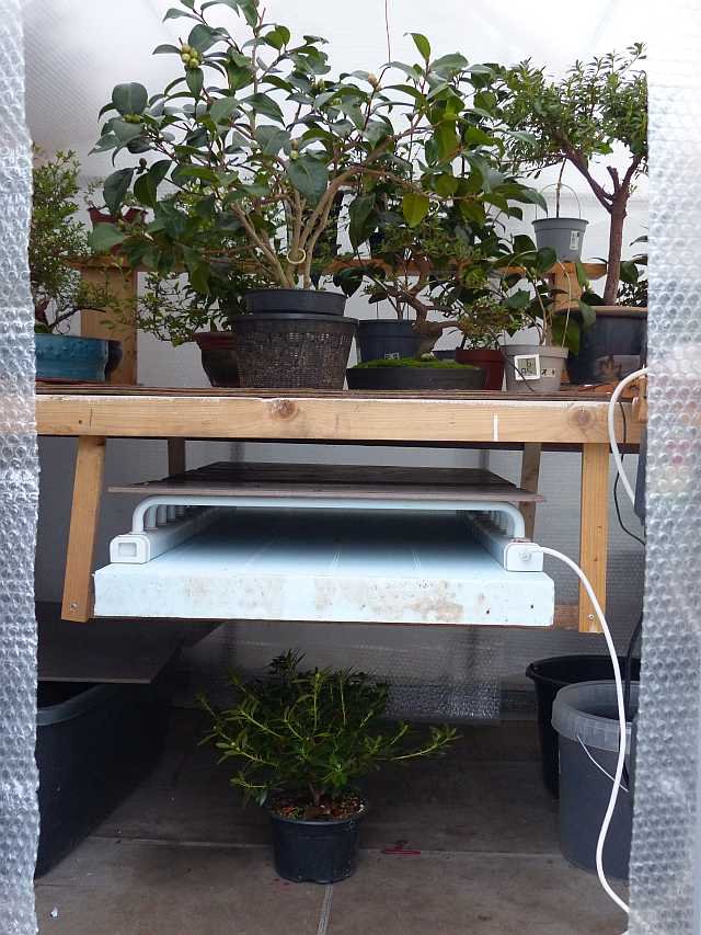 P1110590_k2.jpg
