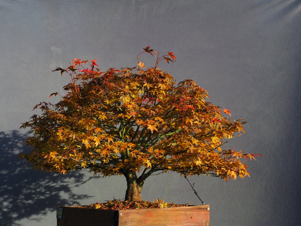P1010035.JPG