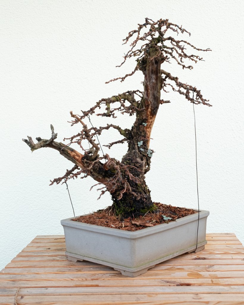 DSCF4641 Kopie.jpg