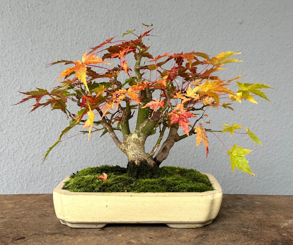 31.10.2024