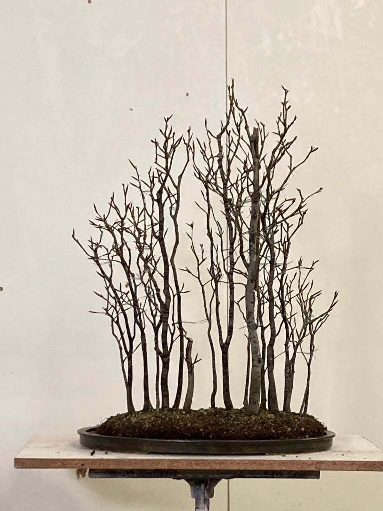1CCC2335-F9F3-4522-8AFA-D88E51B58321.jpeg