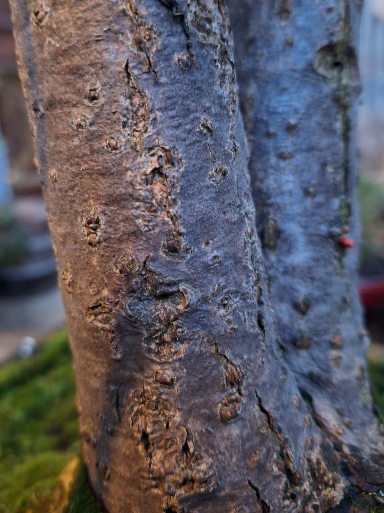 20250108_170533.jpg