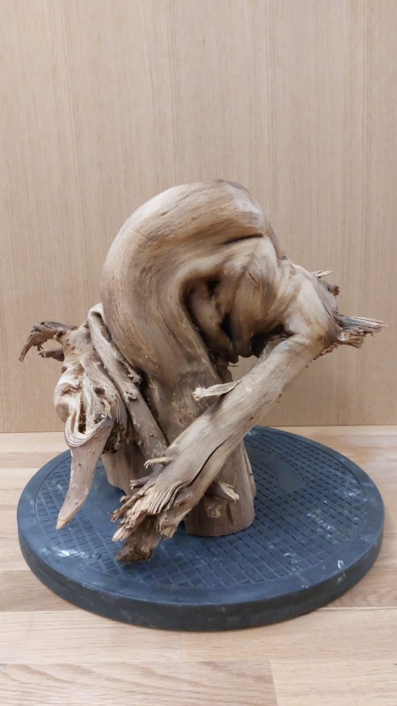Tanuki_3_031.jpg