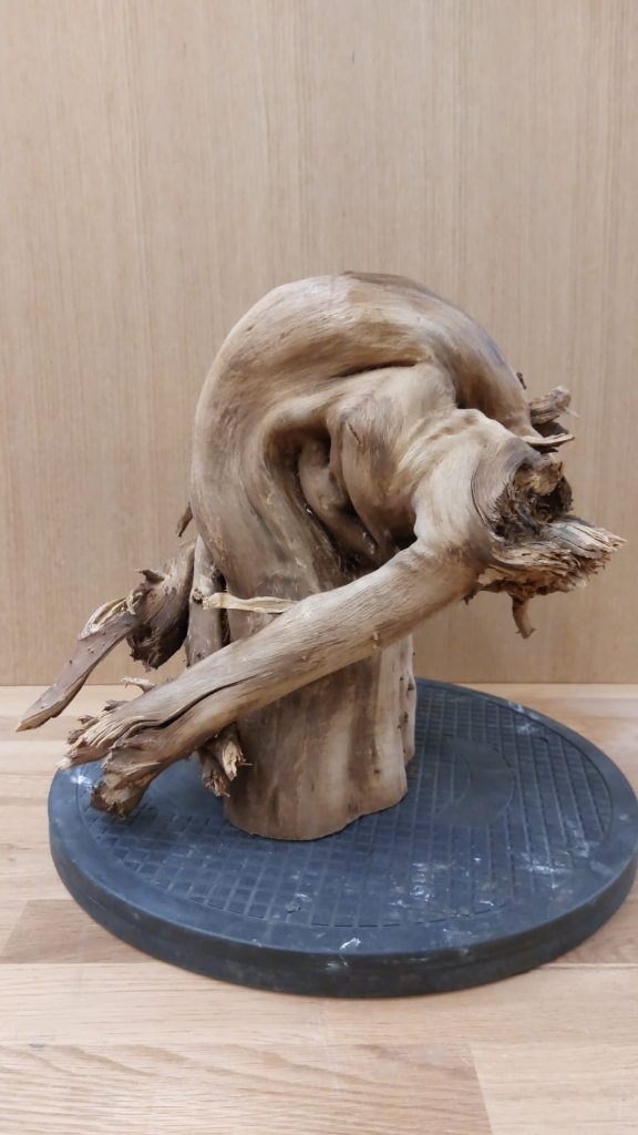Tanuki_3_032.jpg