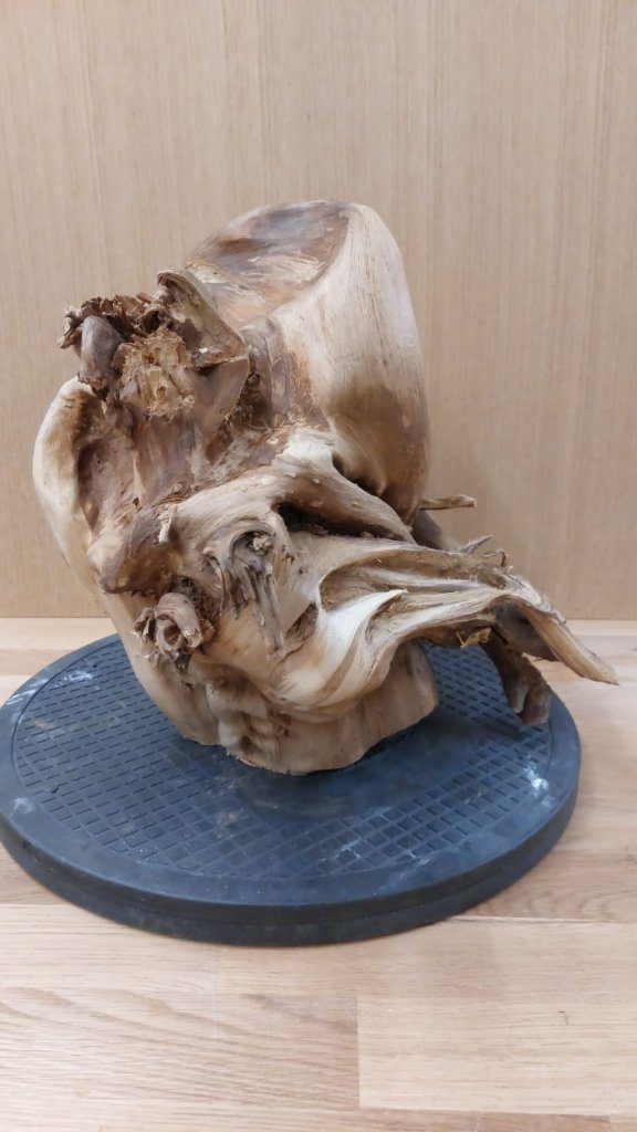 Tanuki_3_034.jpg