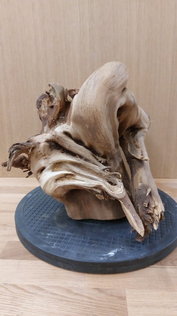 Tanuki_3_035.jpg
