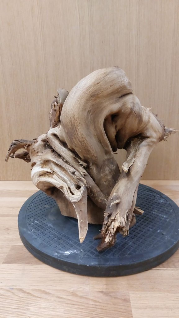 Tanuki_3_036.jpg