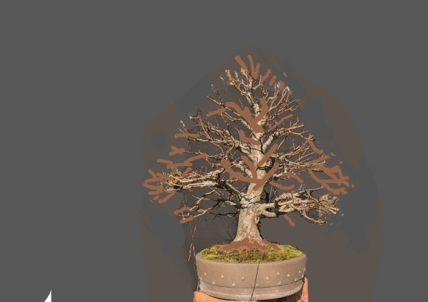 Virtual Linde_2025.jpg