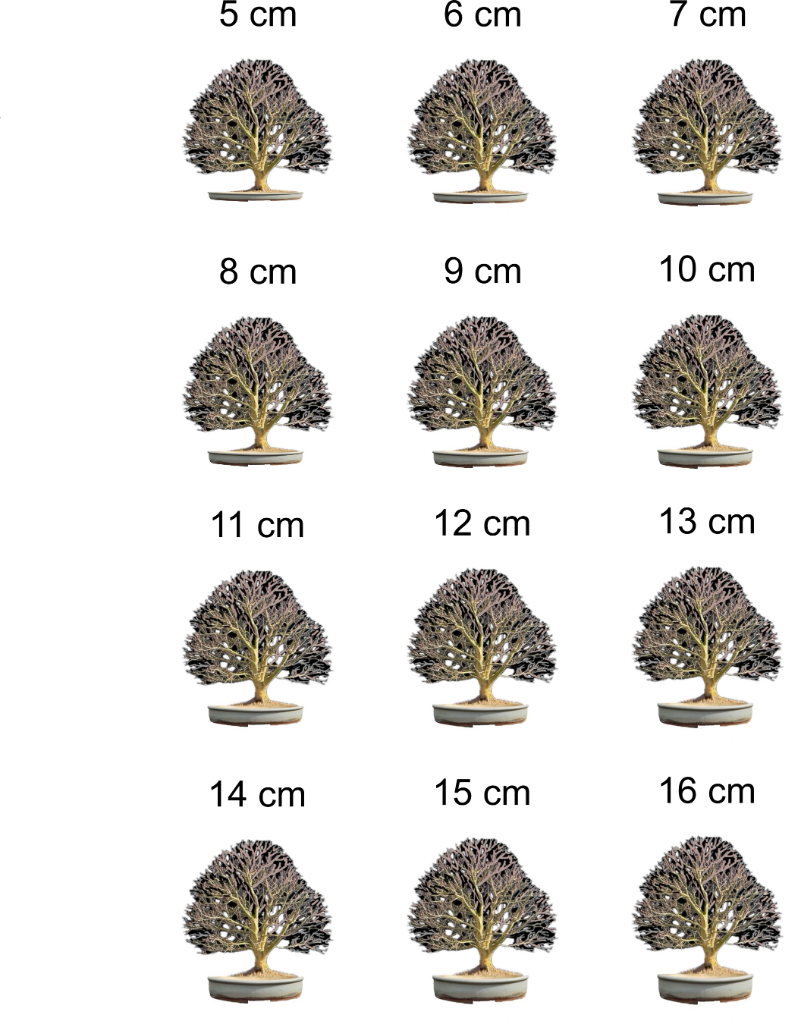 sdf.png