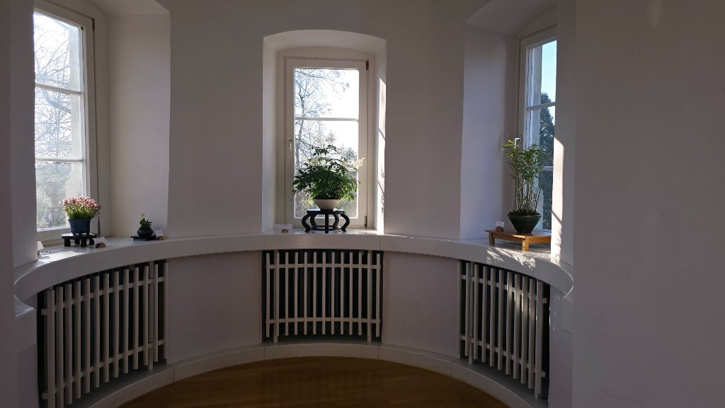 Kusa im Turm