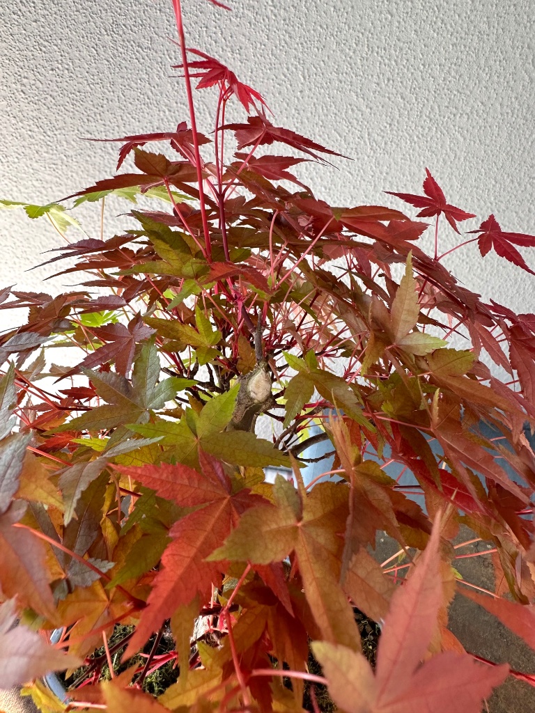und ab….