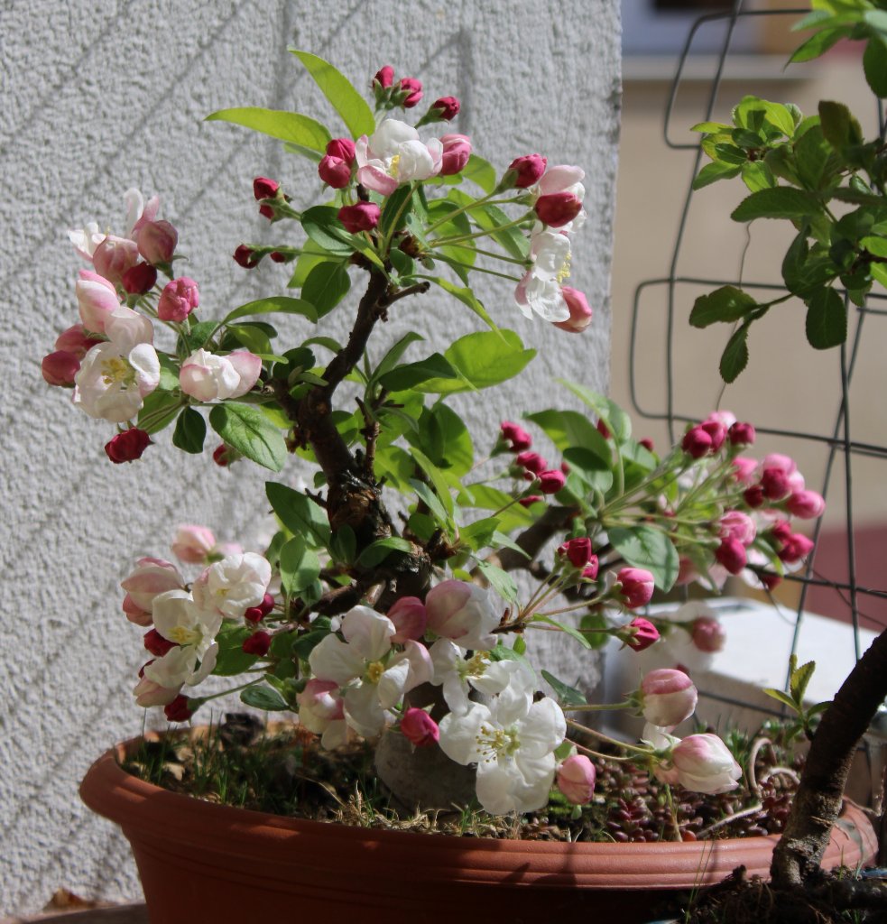 IMG_6587zht.JPG