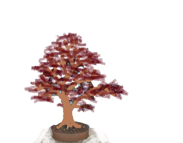 Virtual Acer p. 2025.jpg