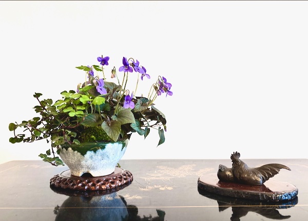 Grönlandveilchen (Viola labradorica), Kanadische Akelei (Aquilegia canadensis) und Rebhuhnbeere (Mitchella repens) in Buzan Schale mit japan. Tenpei, Bronze-Hahn mit Henne.