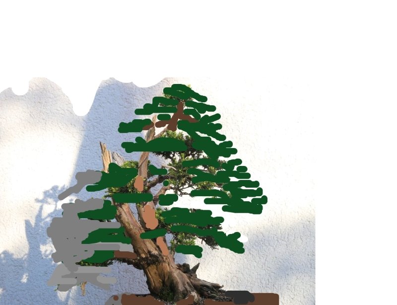 Virtual_Taxus_2025.JPG