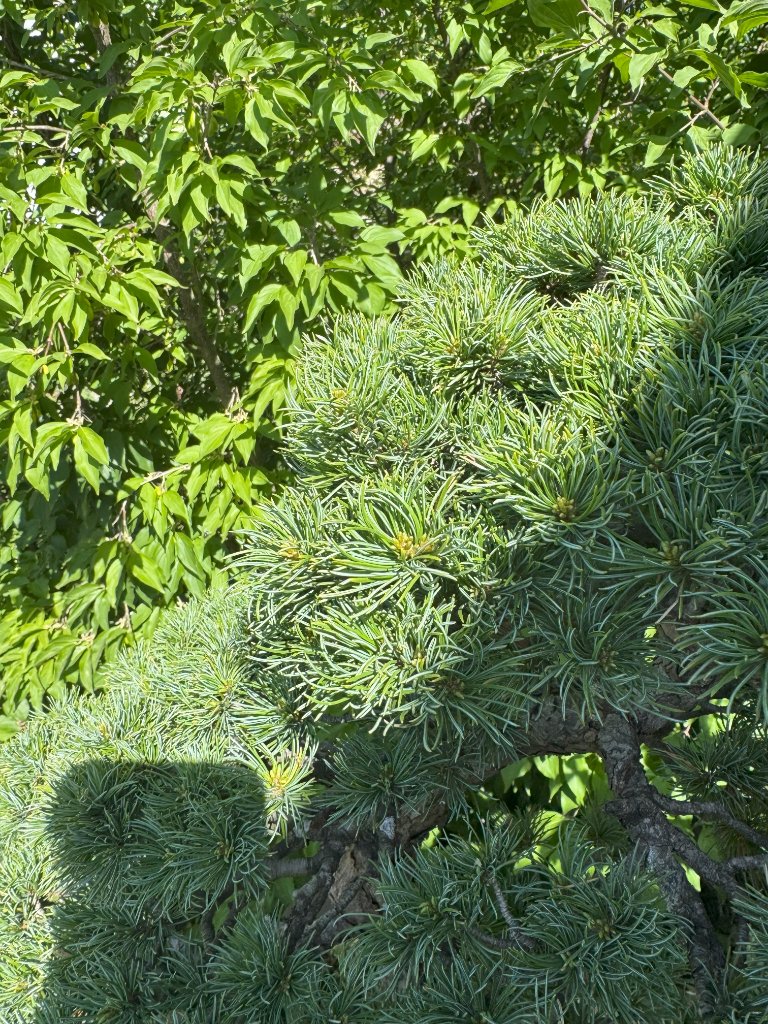 IMG_6559.jpg